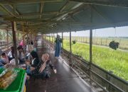 Nonton Pesawat Take Off Landing Cuma Rp 5 Ribu, Wisata Penatapan Tembung Tetap Ramai
