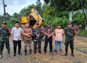 Camat Linggabayu Pimpin pengangkatan batang Kayu di Desa Sikumbu