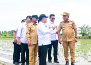 P3-TGAI Perkuat Irigasi di 57 Titik, Serap 38.475 Tenaga Kerja di Deli Serdang 5 P3-TGAI Perkuat Irigasi di 57 Titik, Serap 38.475 Tenaga Kerja di Deli Serdang