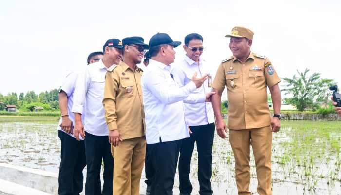 P3-TGAI Perkuat Irigasi di 57 Titik, Serap 38.475 Tenaga Kerja di Deli Serdang