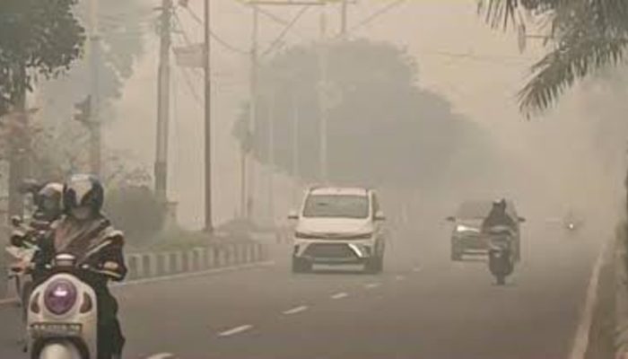Asap Karhutla Terus Menghantui Palangkaraya, Warga Mengaku Lelah Berulang Kali Bersuara