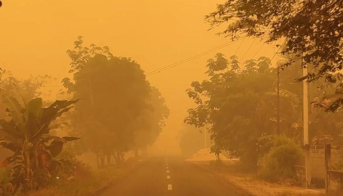 Asap Karhutla Selimuti Palangka Raya, Informasi ISPU 1.300 Perlu Verifikasi