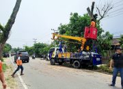 Antisipasi Pohon Tumbang, BPBD Madina Pangkas Pohon Lapuk di Jalinsum Medan–Padang 4 Antisipasi Pohon Tumbang, BPBD Madina Pangkas Pohon Lapuk di Jalinsum Medan–Padang