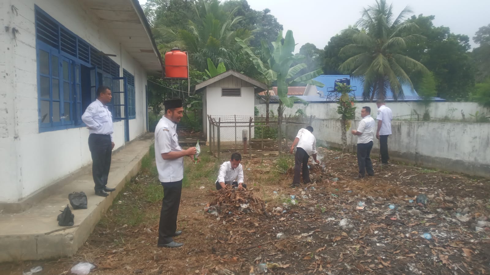 Dukung Ketahanan Pangan Presiden Prabowo, Camat Siabu Sulap Lahan Tidur Jadi Kebun Jagung Manis