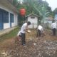 Dukung Ketahanan Pangan Presiden Prabowo, Camat Siabu Sulap Lahan Tidur Jadi Kebun Jagung Manis
