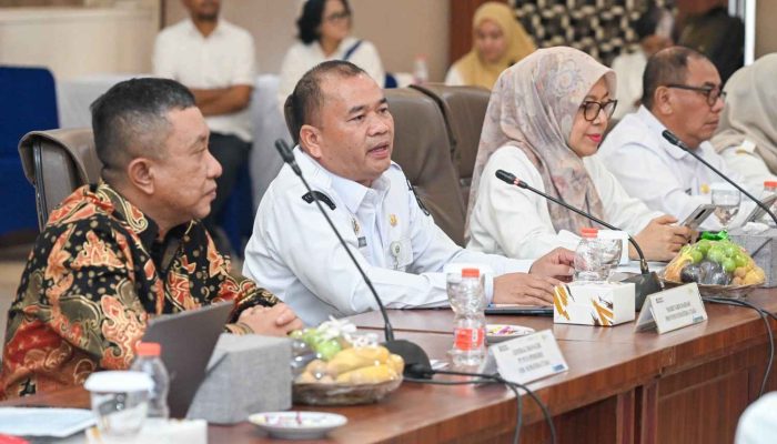 Kejar Rasio Elektrifikasi 100 Persen, Sumut Sinkronkan 117 Usulan Listrik Desa