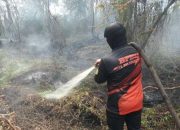 Karhutla Kutai Barat Kaltim Belum Terkendali, Relawan Mengaku Kewalahan Hadapi Api akibat Minim Peralatan dan Air