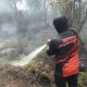 Karhutla Kutai Barat Kaltim Belum Terkendali, Relawan Mengaku Kewalahan Hadapi Api akibat Minim Peralatan dan Air